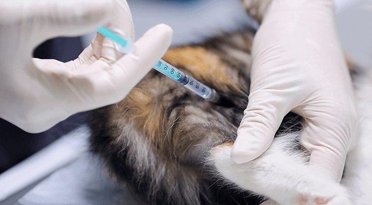 Vaccination Clinic