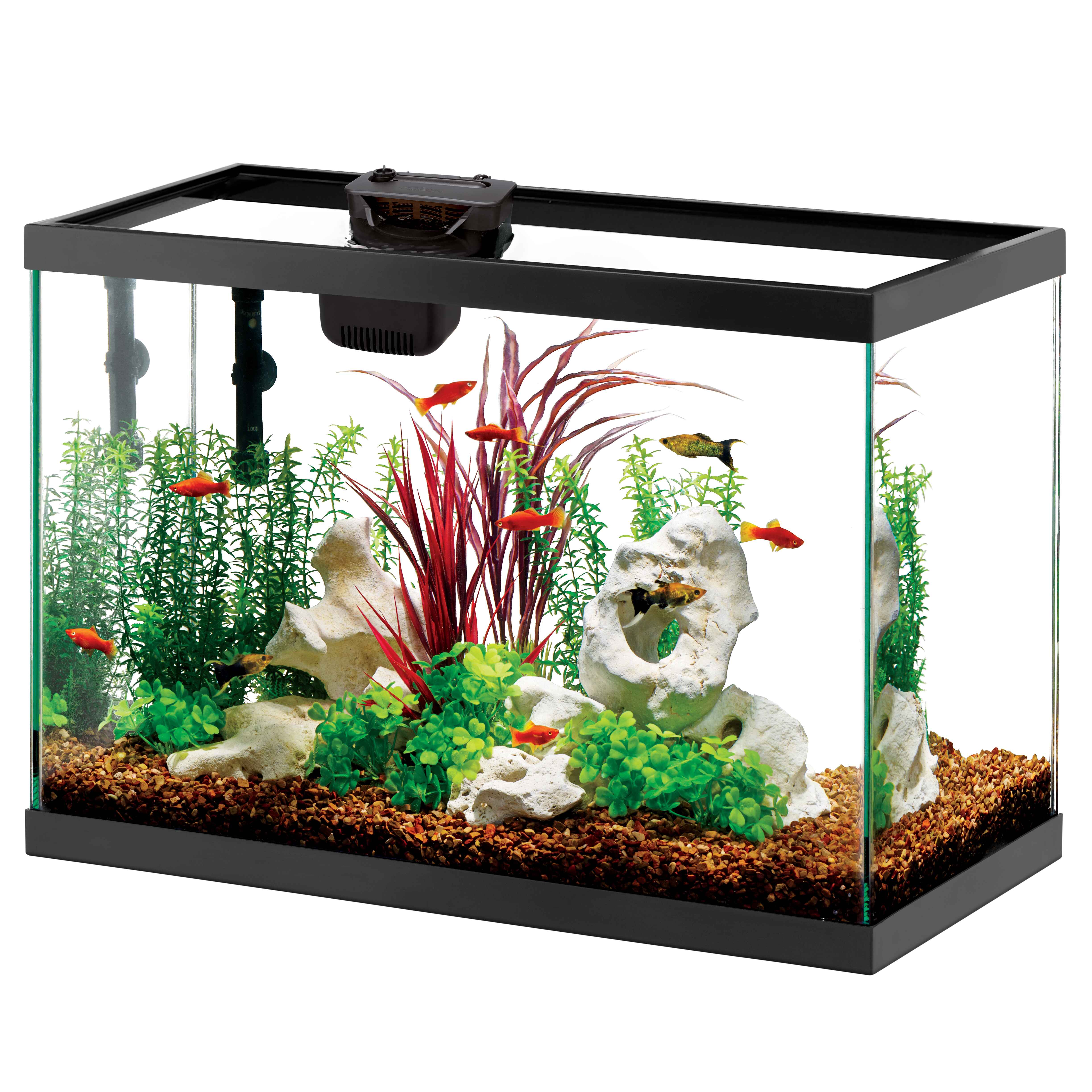Aquarium Starter Kit