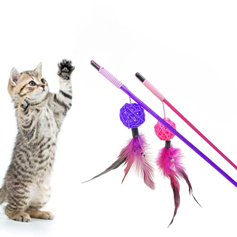 Interactive Feather Wand